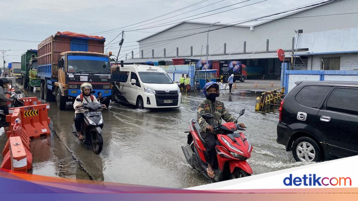 BMKG Keluarkan Peringatan Dini Banjir Rob di Pantura Jateng Sabtu 1 Agustus 2026, Waspada Pukul 07.00-11.00 WIB