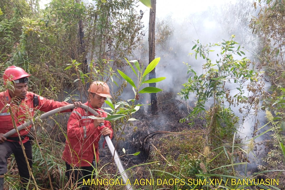 Luas Kebakaran Hutan dan Lahan di Sumsel Capai 305,4 Hektare hingga Mei 2026, Tiga Kabupaten Jadi Titik Terparah