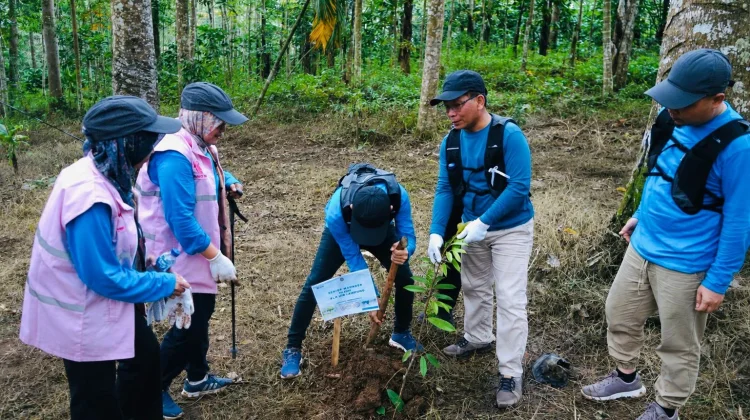 PLN Lampung Tanam Ribuan Pohon di Sekitar Gardu Induk untuk Peringati Hari Lingkungan Hidup Sedunia
