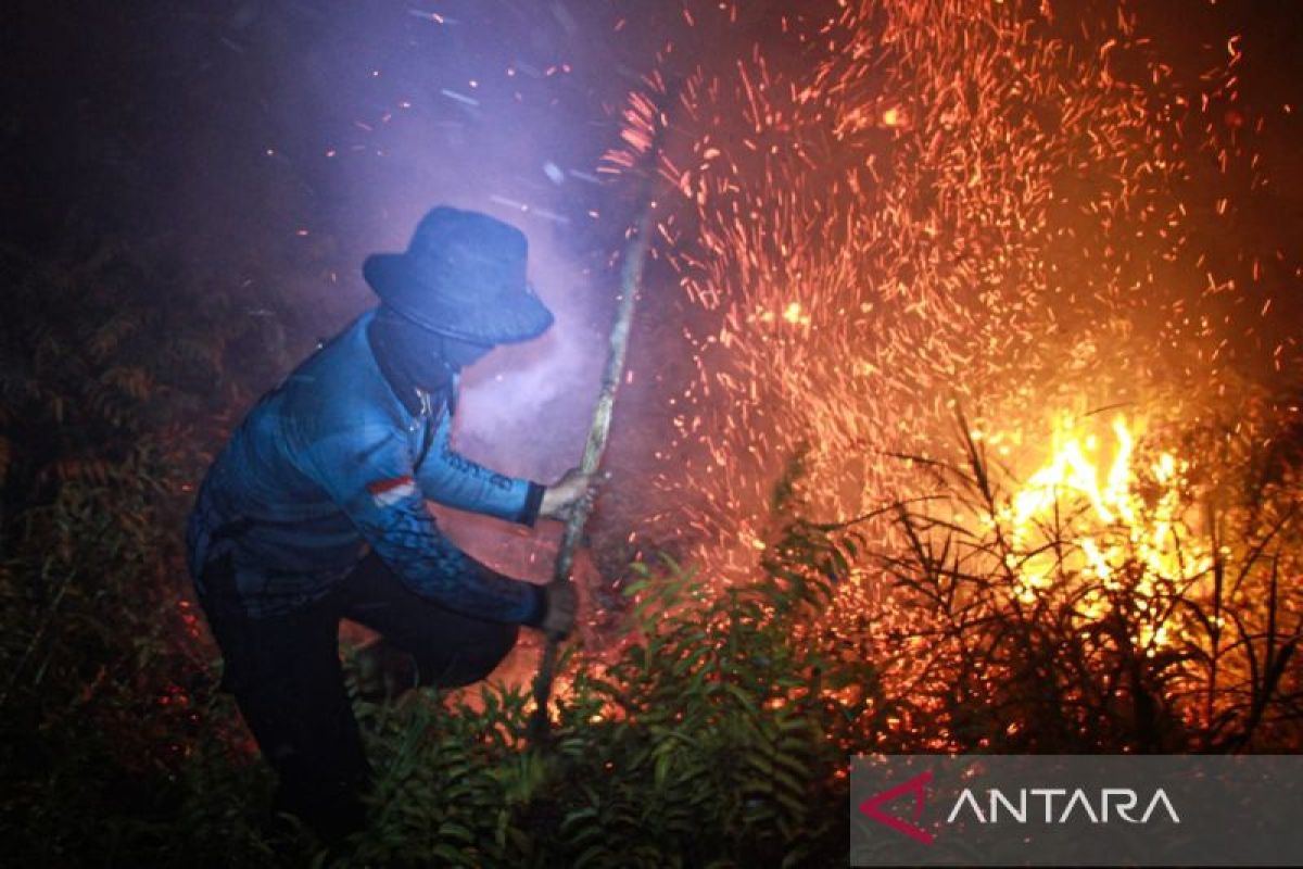 Karhutla Kalbar Melonjak Tajam, Titik Panas Naik 3.553 dalam Sehari