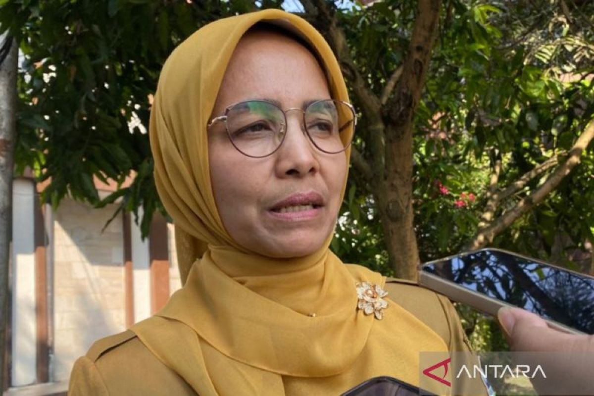 Rumah Nenek Minawati di Garut Ambruk, Dinsos Terjunkan Pilar Sosial untuk Rehabilitasi