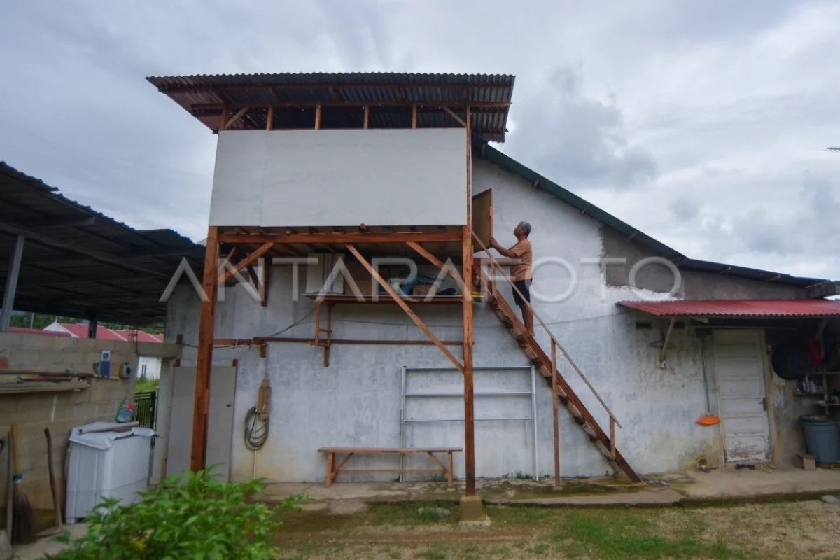 Warga Padang Pariaman Bangun Shelter Mandiri Setinggi 3 Meter Antisipasi Banjir Bandang Berulang