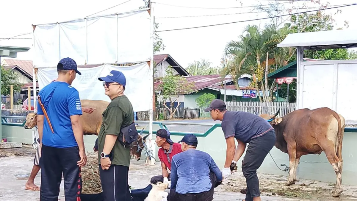 120 Juleha Disiagakan di Banjarmasin, Pemkot Awasi Ketat Proses Penyembelihan Hewan Kurban Idul Adha