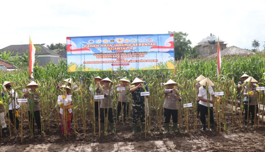 Polri Bukan Ambil Alih Lahan Petani, Ini Fokus Pendampingan di Buleleng Demi Produksi Jagung yang Lebih Stabil