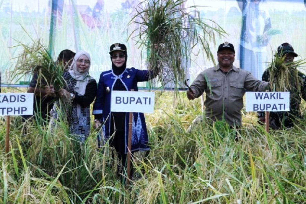 Pemkab Berau Sahkan Perda Ketahanan Pangan, Petani Dapat Pembebasan Pajak dan Sertifikat Tanah Gratis