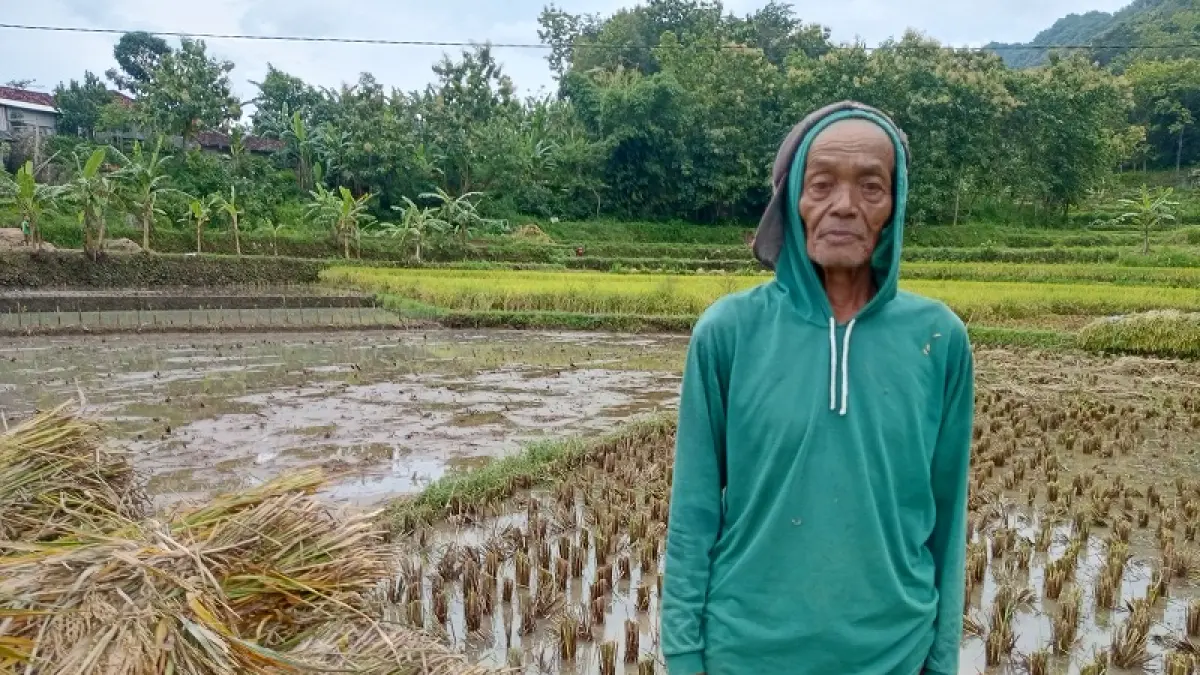 DPRD Gunungkidul Dorong Perlindungan Petani Lebih Menyeluruh: Dari Sarana Produksi hingga Jaminan Usaha Tani