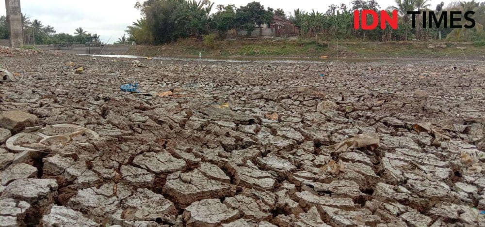 42.639 Warga NTB Terdampak Kekeringan, Tiga Kabupaten Tetapkan Status Siaga Darurat per 30 Juni 2026