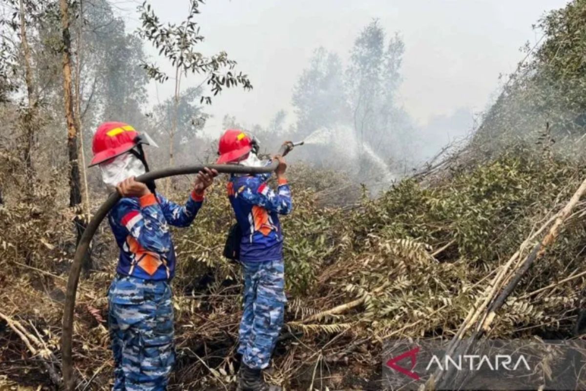 5 Berita Kalsel Terkini: BI Dorong Diversifikasi Ekonomi hingga Ratusan Penerima Beasiswa Adaro Dibina