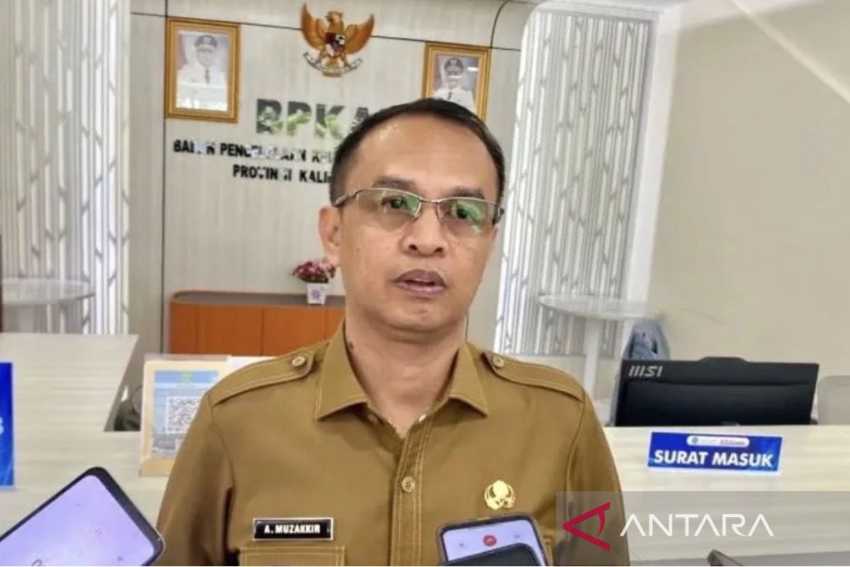 Pemprov Kaltim Optimistis B50 Dongkrak Penyerapan Sawit Rakyat, Target Harga TBS Naik ke Atas Rp3.400 per Kg