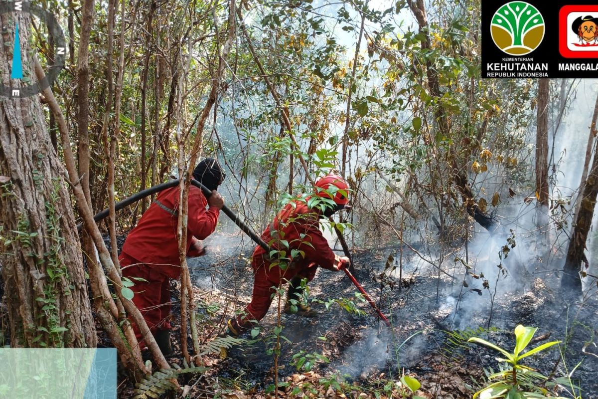 Manggala Agni Padamkan Karhutla di 17 Desa Tiga Provinsi, Sumsel Jadi Wilayah Terbanyak