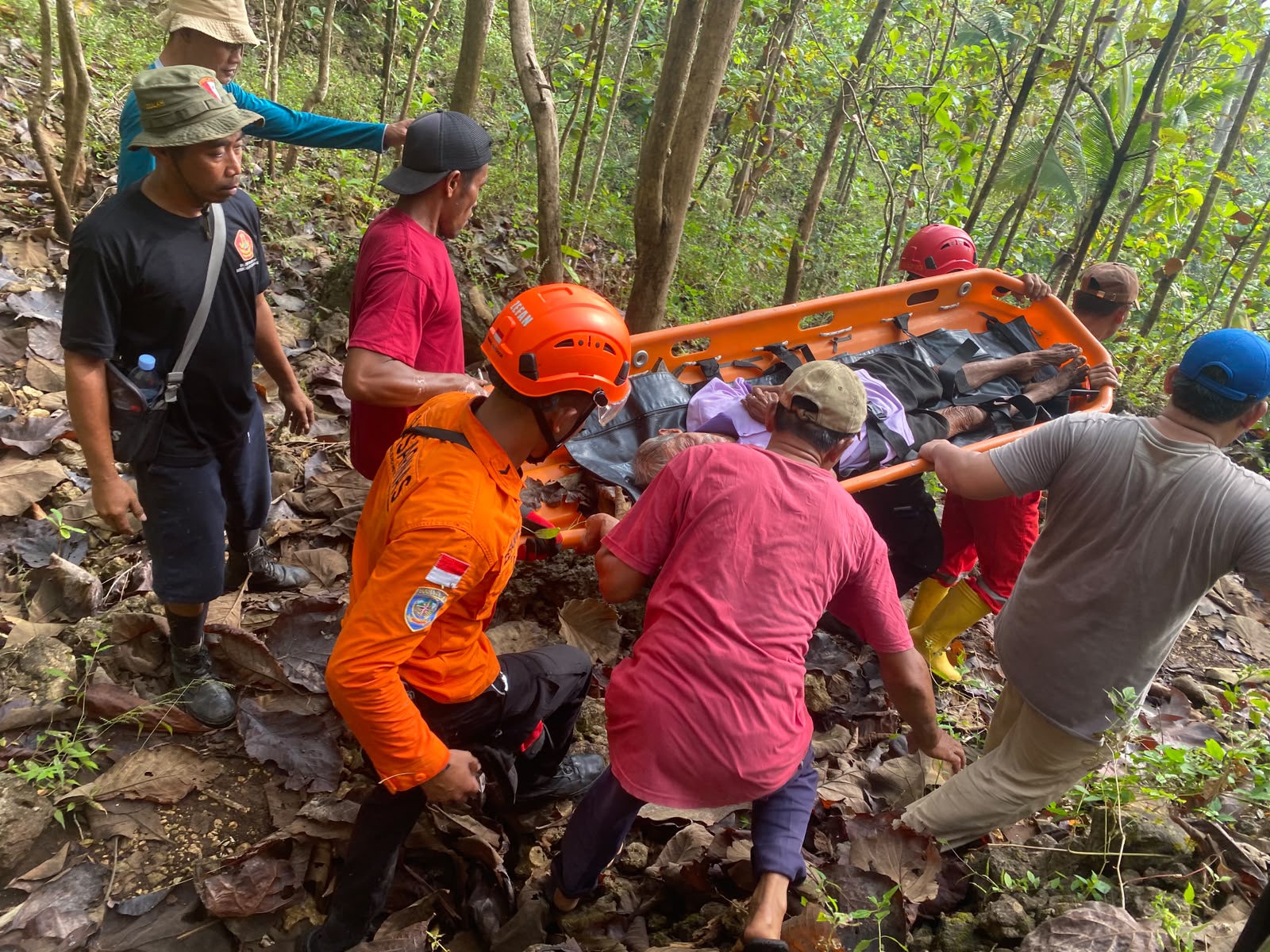 Lansia 80 Tahun Bernama Mbah Kliwon Ditemukan Selamat Setelah Empat Hari Hilang di Hutan Sanglor Gunungkidul