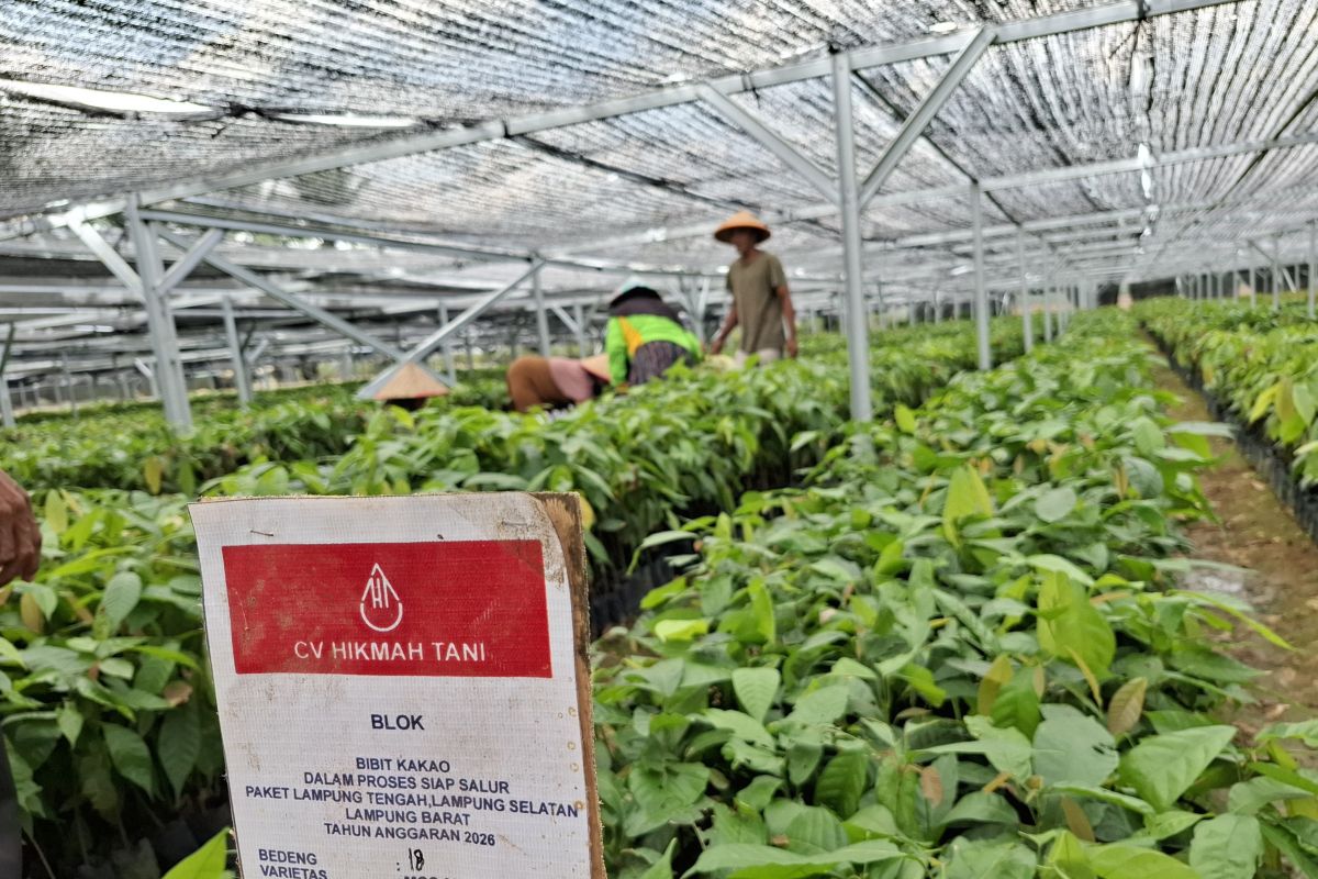 Mentan Andi Amran: Bantuan Bibit Perkebunan di Lampung Tembus 30 Ribu Hektare, Anggaran Capai Rp350 Miliar