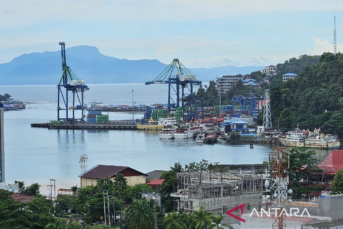 Penerimaan Bea Cukai Papua Capai Rp95,15 Miliar hingga Mei 2026, Ditopang Impor Freeport