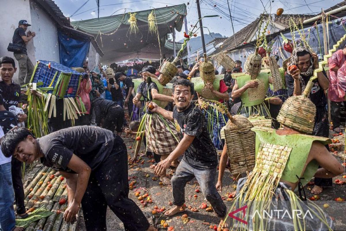 Festival Perang Tomat 2026 di Lembang: Warga Kampung Cikareumbi Saling Lempar Tomat Busuk sebagai Simbol Buang Energi Negatif