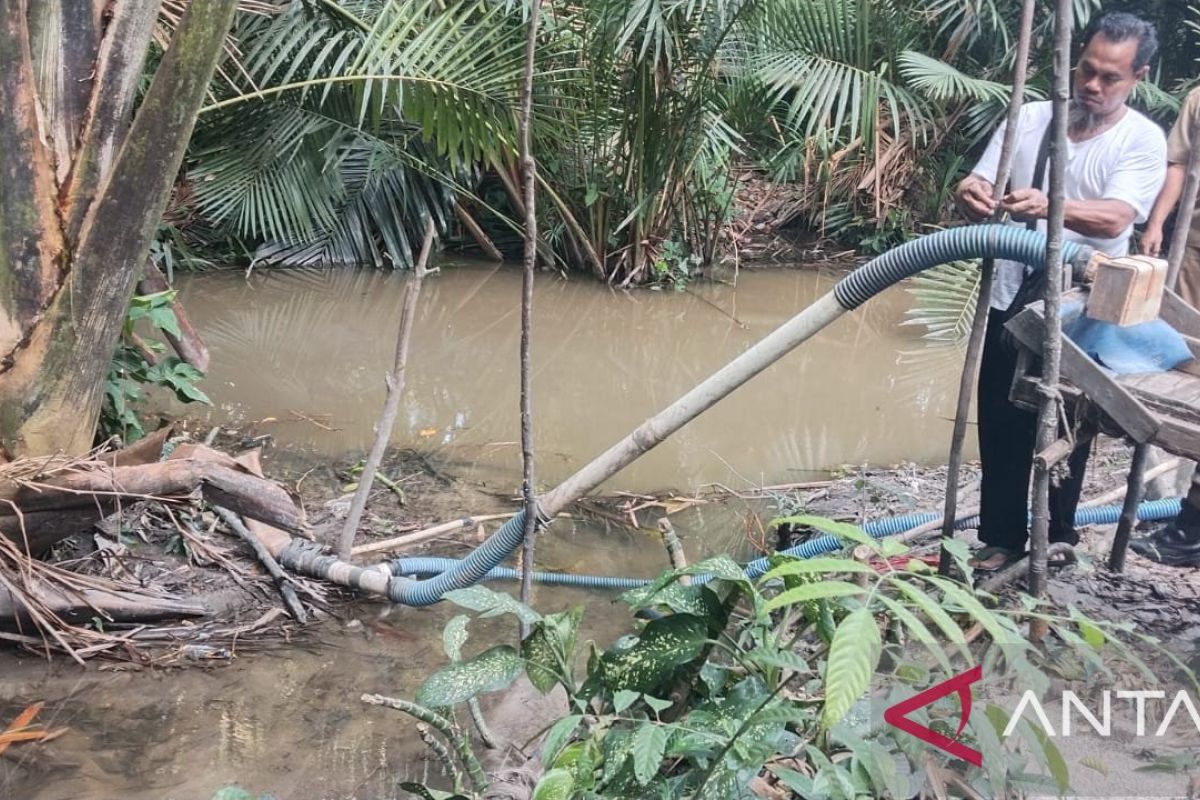 Pemkab Bangka Tempatkan Personel Satpol PP di Setiap Kecamatan untuk Cegah Tambang Timah Ilegal Dekat Fasilitas Umum
