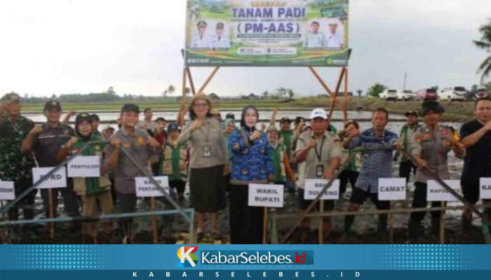 Wabup Morowali Iriane Iliyas Hadiri Gerakan Tanam Padi PM-AAS di Bumi Raya, Target Produktivitas 10 Ton per Hektare