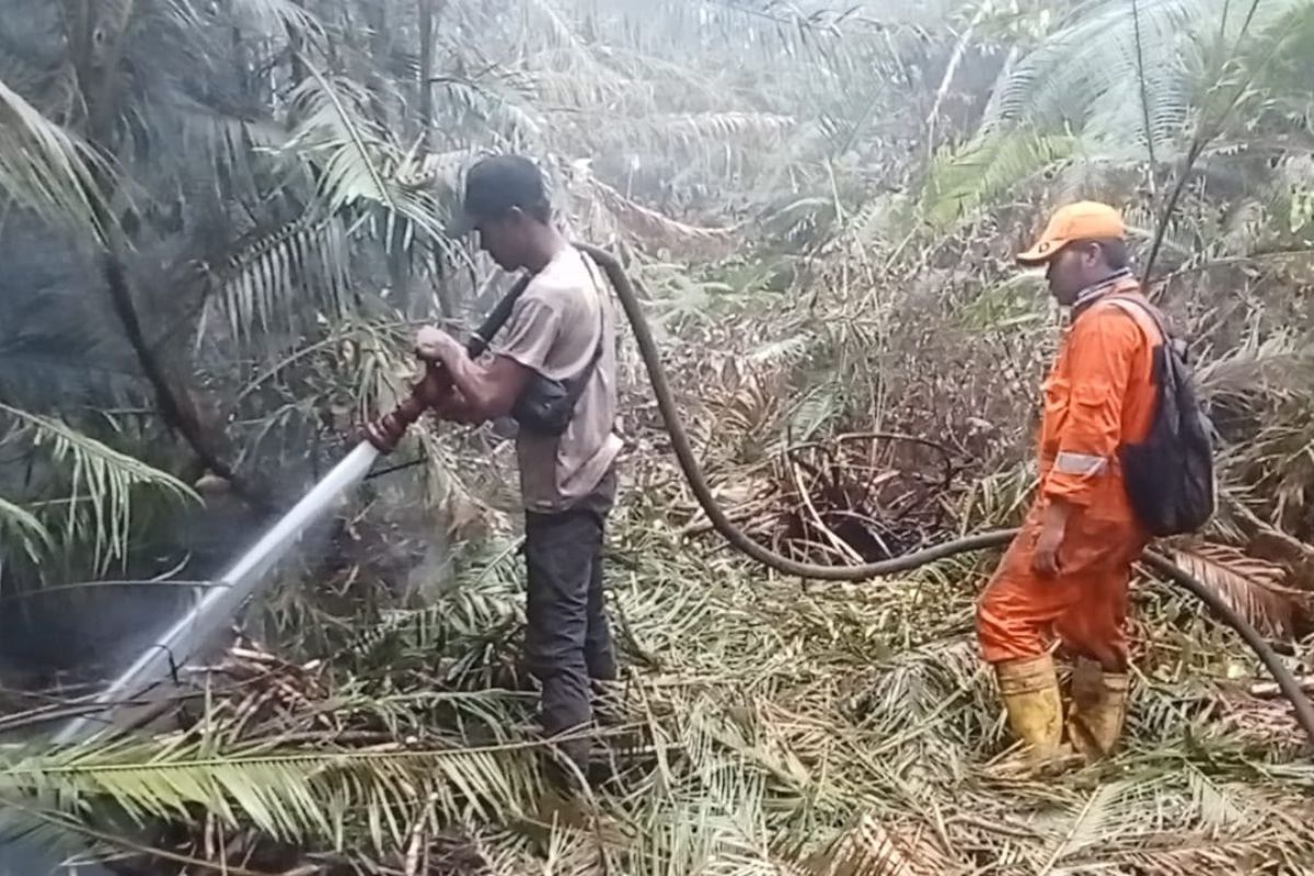 Pemkab Lingga Larang Buka Lahan dengan Cara Dibakar, 400 Hektare Terbakar Sejak Agustus 2026