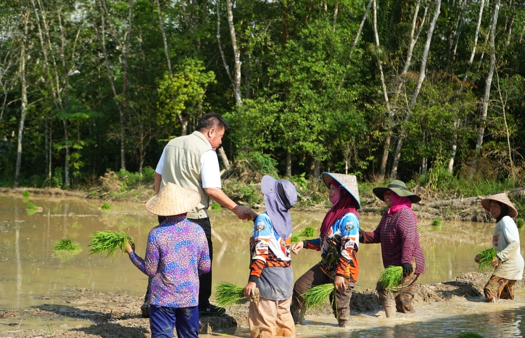 Gubernur Sumsel Targetkan Produksi GKG Tembus 5 Juta Ton di Tengah Ancaman El Nino, Optimistis Masuk Dua Besar Nasional