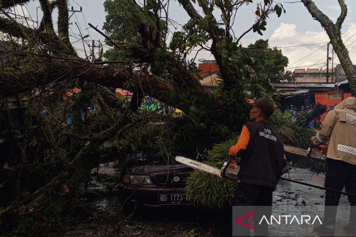 BPBD Rejang Lebong Tangani 34 Bencana Alam dalam Lima Bulan, Longsor Mendominasi dan Satu Warga Tewas