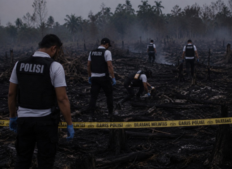 Polisi Buru Pemilik Lahan Usai 3 Hektare Semak Belukar Terbakar di Jaluko, Muaro Jambi