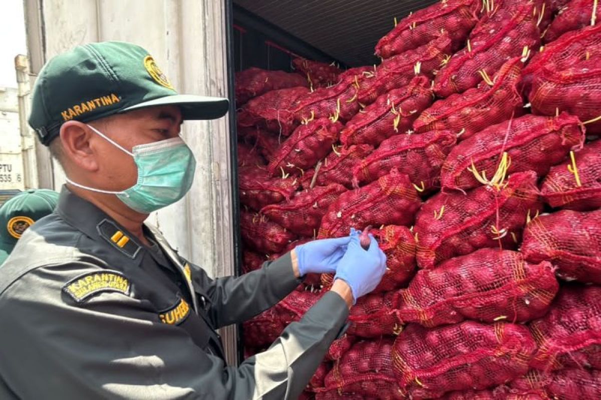 Karantina Sulut Tolak 30 Ton Bawang Merah Asal Jakarta di Pelabuhan Bitung, Temukan Busuk dan Berjamur