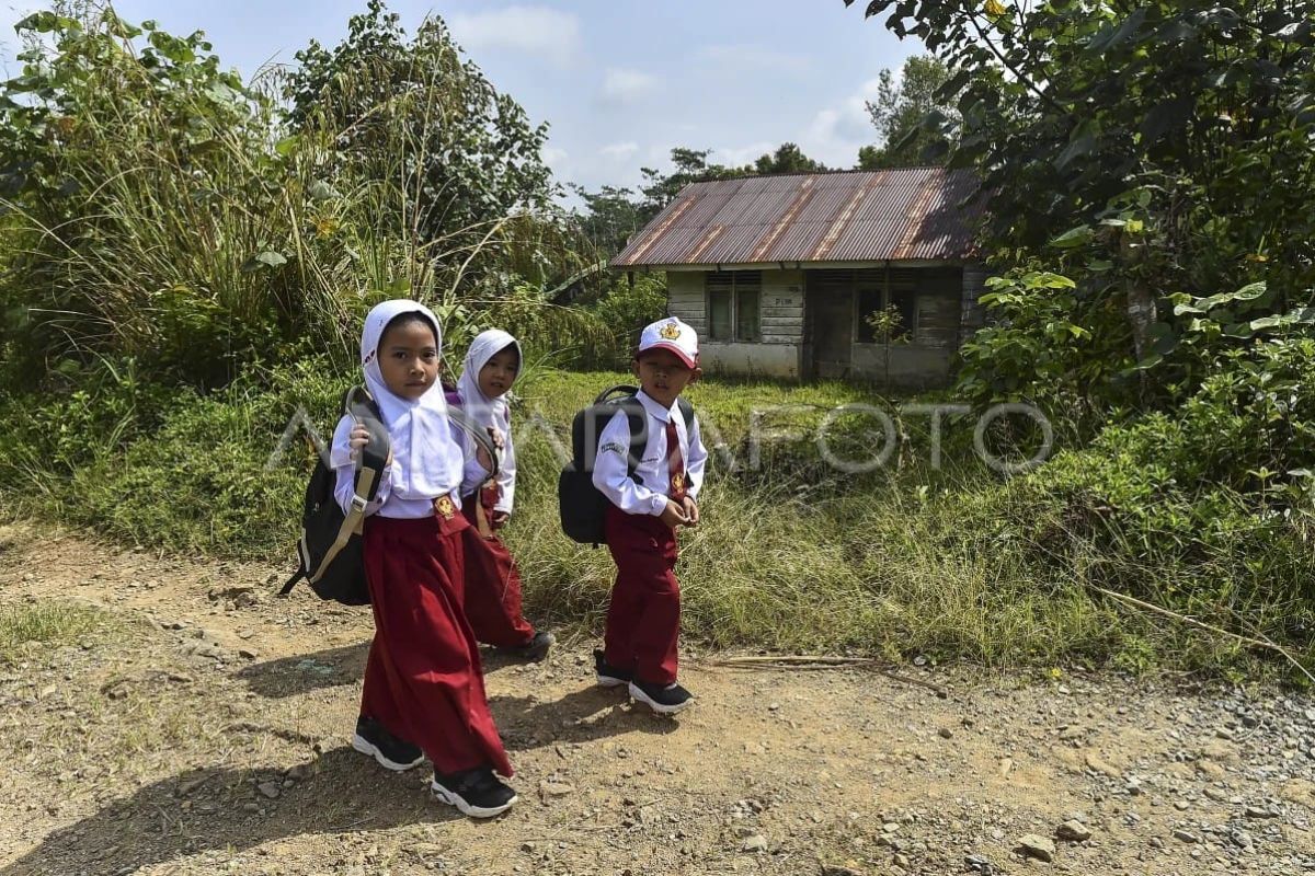 SDN 44/III Sungai Bermas di Kerinci Layani 12 Anak Transmigran di Ketinggian 1.300 Mdpl