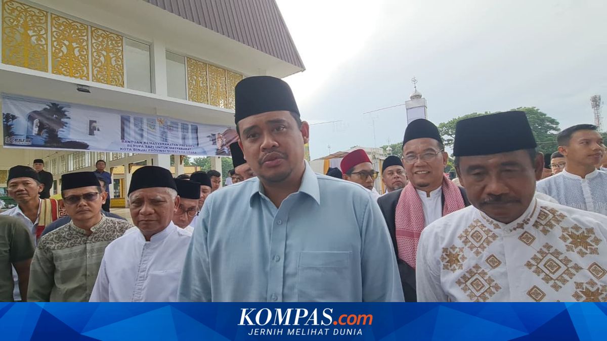 Gubernur Sumut Bobby Nasution Kurban 17 Sapi, 11 Ton Daging Dibagikan ke Masjid hingga Suporter PSMS