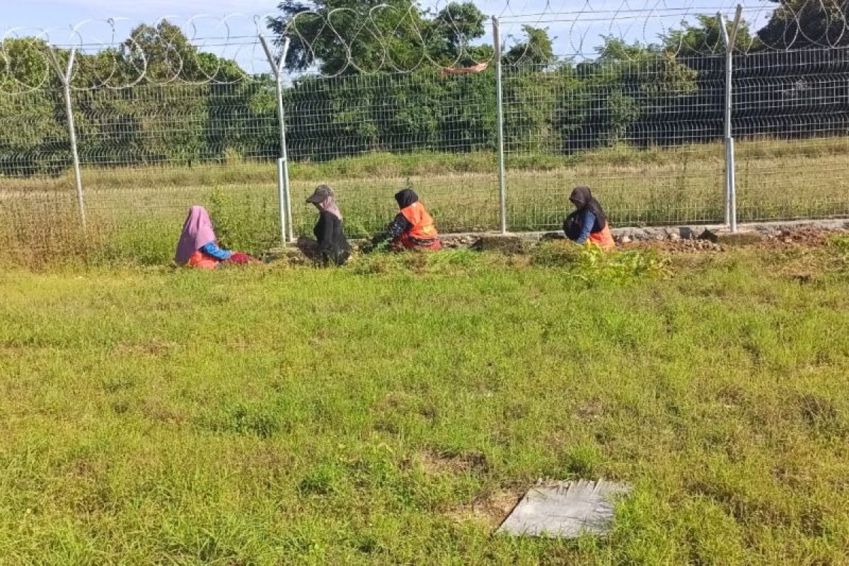 Bandara Betoambari Baubau Libatkan Warga Tiga Kelurahan dalam Program Padat Karya, Berlangsung Sejak April
