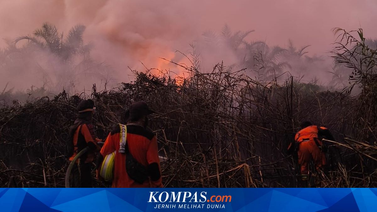 67 Titik Karhutla Melanda Paser dalam Sepekan, 128,8 Hektare Lahan Hangus, Lahan Gambut Jadi Perhatian Khusus
