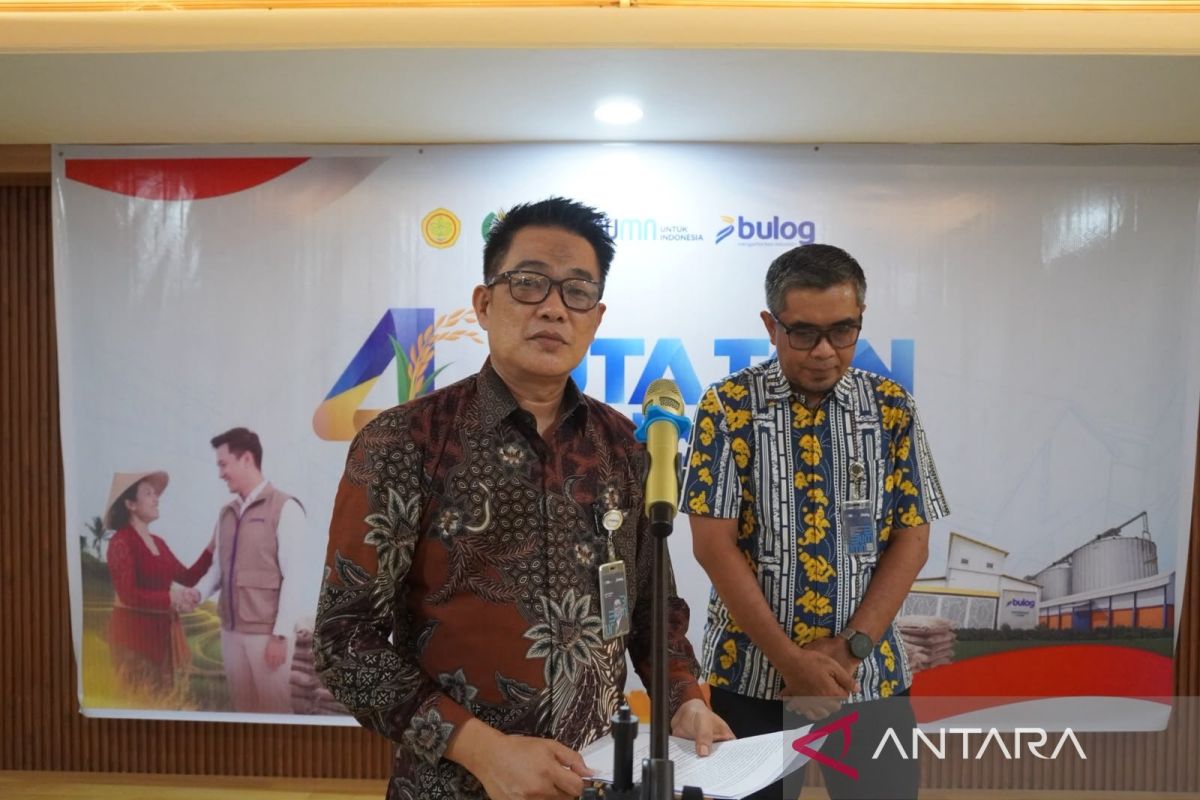 Bulog Serap 2.999 Ton Beras Petani Sulut hingga Awal Oktober 2026, Capai 93,89 Persen Target