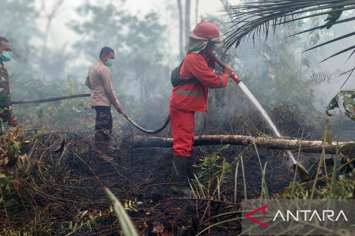Kebakaran Lahan Gambut di Muara Sabak Barat Jambi Padam, 218 Personel dan 11 Alat Berat Dikerahkan Enam Hari