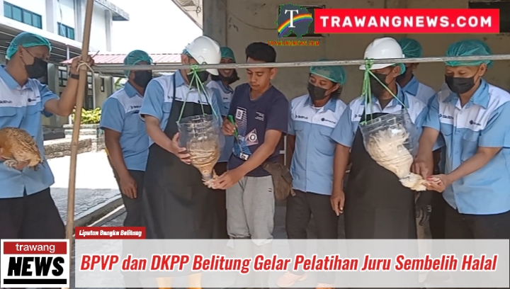 16 Warga Belitung dan Belitung Timur Ikuti Pelatihan Juru Sembelih Halal Selama 8 Hari, Target Daging ASUH