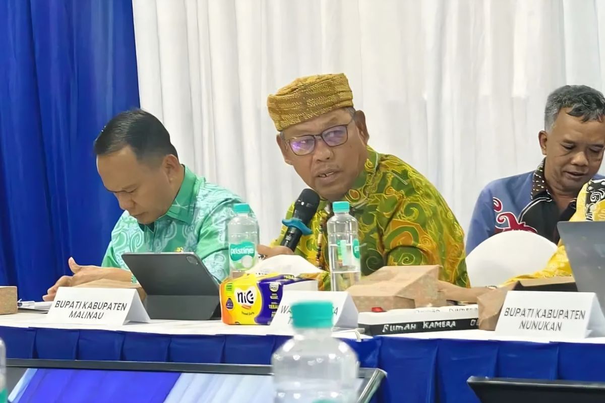 Pemkab Malinau Usulkan 18 Titik Listrik Desa untuk Wilayah Pedalaman dan Perbatasan Kaltara