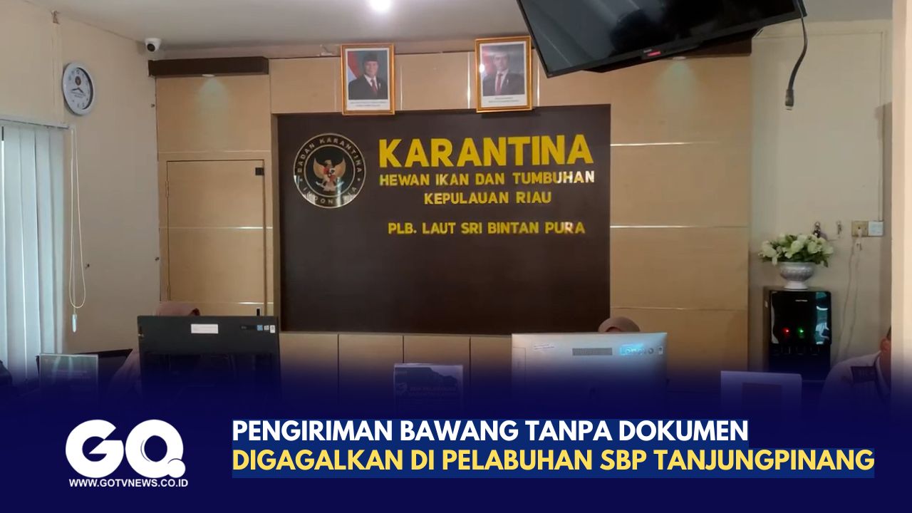 Puluhan Koli Bawang Tanpa Dokumen Digagalkan Balai Karantina di Pelabuhan SBP Tanjungpinang, Hendak ke Kalbar