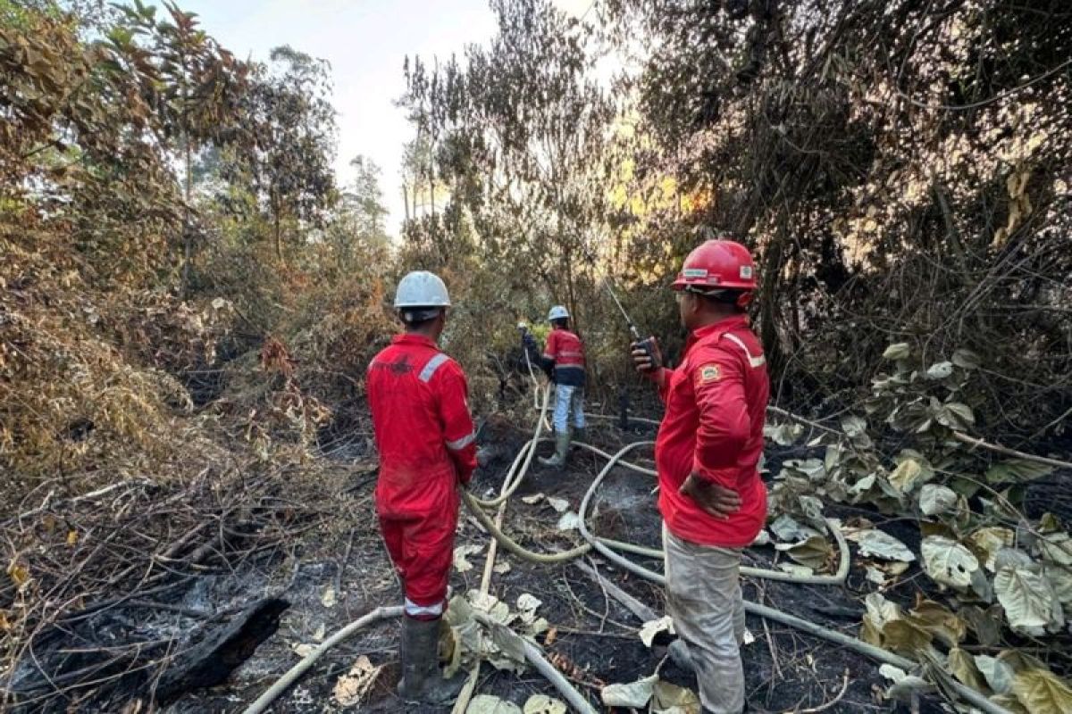 PT Mayawana Persada Kerahkan 170 Personel dan Tutup Rapat Pintu Kanal Cegah Karhutla di Ketapang dan Kayong Utara