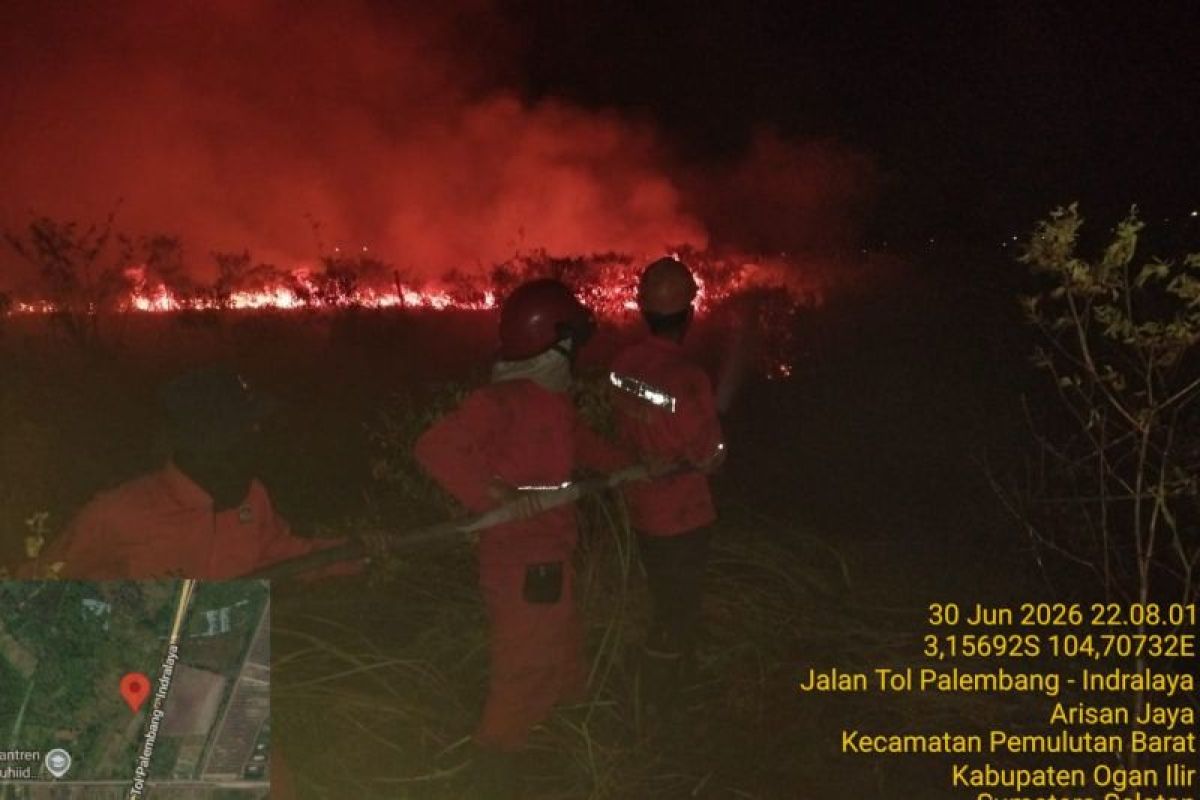 Tim Gabungan Padamkan Karhutla 10 Hektare di Samping Tol Palindra, Asap Sempat Mengarah ke Ruas Jalan
