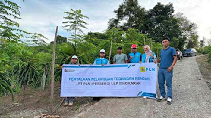 PLN Sumatera Barat Pasok Listrik 33 kVA untuk Kebun Buah Naga di Solok, Petani Klaim Produksi Lebih Stabil