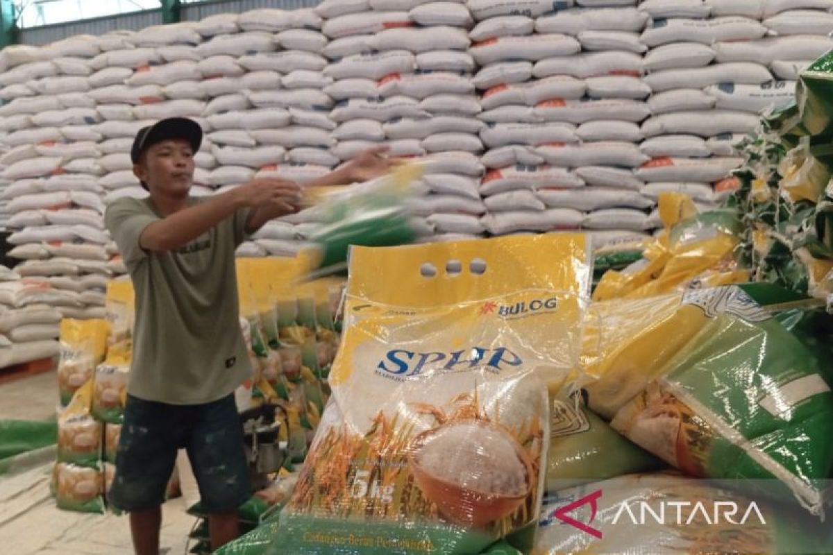 Pemkab Kutim Siapkan 83,6 Ton Beras dan Dorong Warga Manfaatkan Pekarangan Hadapi Kemarau Panjang 2026