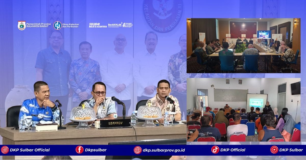DKP Sulbar Genjot Koordinasi dengan Pusat hingga Australia dalam Sepekan, 7 Usulan Program 2027 Disiapkan