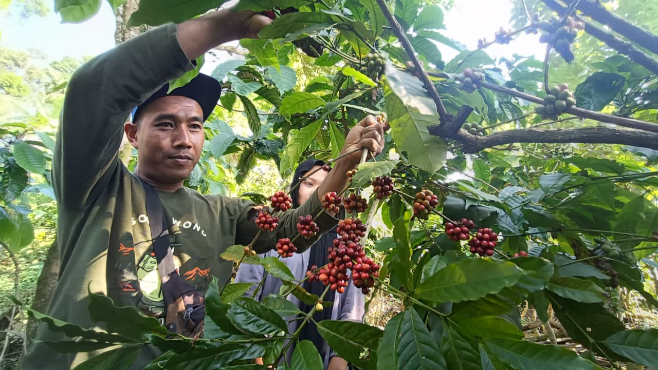 Jepara Dorong Produsen Kopi Lokal Cantumkan Nama Desa Penghasil di Kemasan, Ini Tujuannya