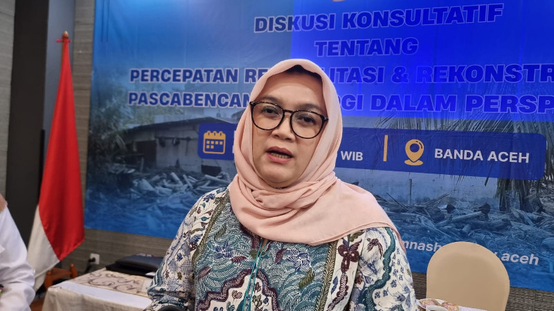 Komnas HAM Tegaskan Relokasi Warga Kawasan Merah Bencana di Aceh Tak Boleh Pakai Cara Paksa, Ini 3 Syaratnya
