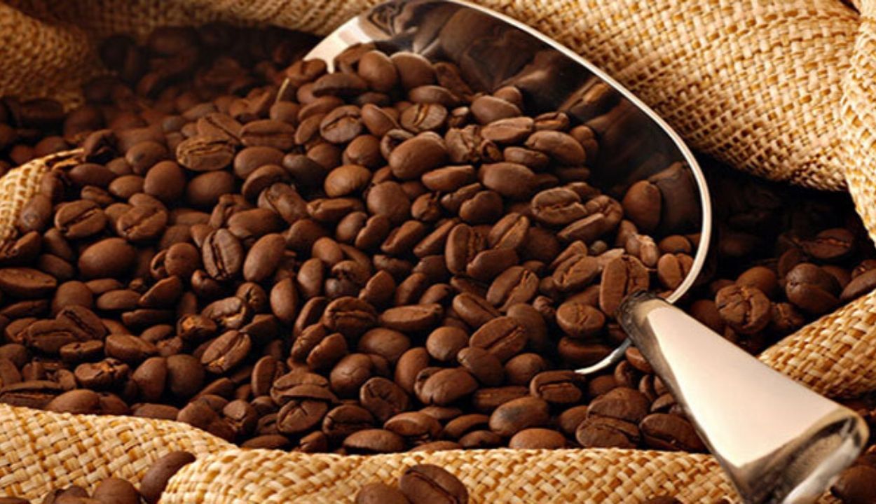Kemenkum Aceh Temukan Pemalsuan Label Kopi Gayo dan Penerbitan SKA Ilegal, Pengawasan Indikasi Geografis Dievaluasi