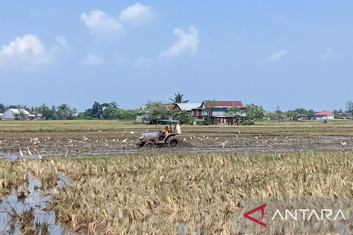 Bupati Sidrap Kerahkan Armada Mobil Tangki Air untuk Selamatkan 34.000 Hektare Sawah Irigasi dari Kekeringan