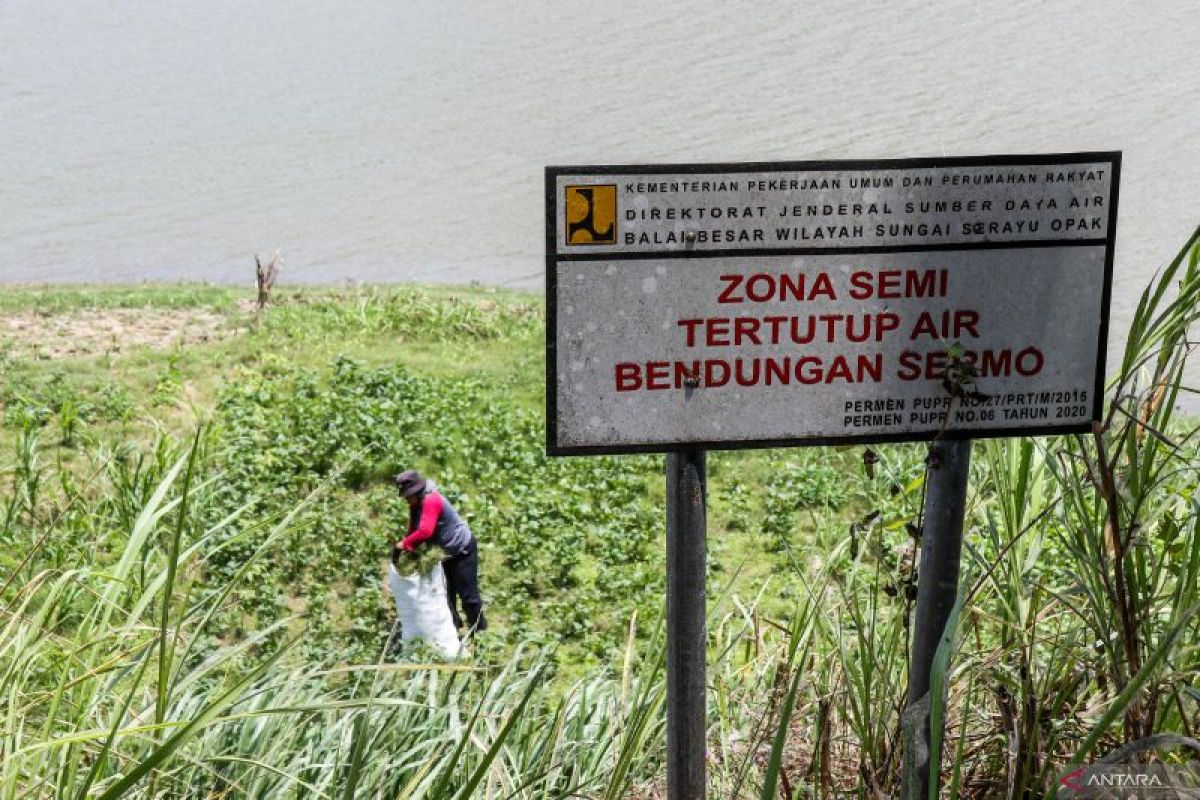 Warga Kulon Progo Garap Lahan Tepian Waduk Sermo yang Surut untuk Pertanian Musim Kemarau