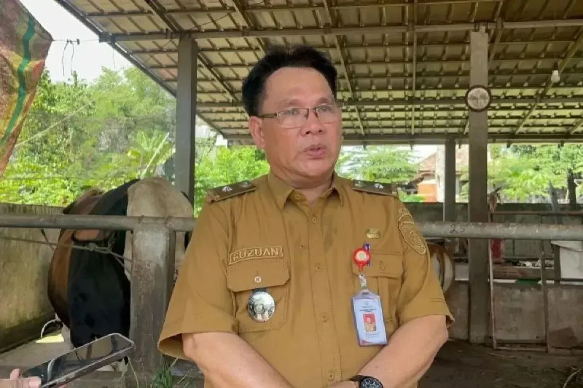 DKPP Sumsel Kejar Sisa 6.832 Dosis Vaksin PMK Tahap II, Target Rampung September 2026