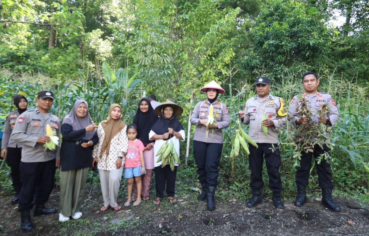 Polres Ternate Panen Jagung di Lahan Marikrubu, Dukung Swasembada Pangan Nasional Kuartal II 2026