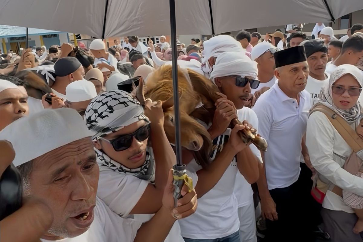 Ratusan Pemuda di Negeri Hila Maluku Tengah Arak Kambing Keliling Kampung, Tradisi Lawa Pipi Jadi Miniatur Ibadah Haji