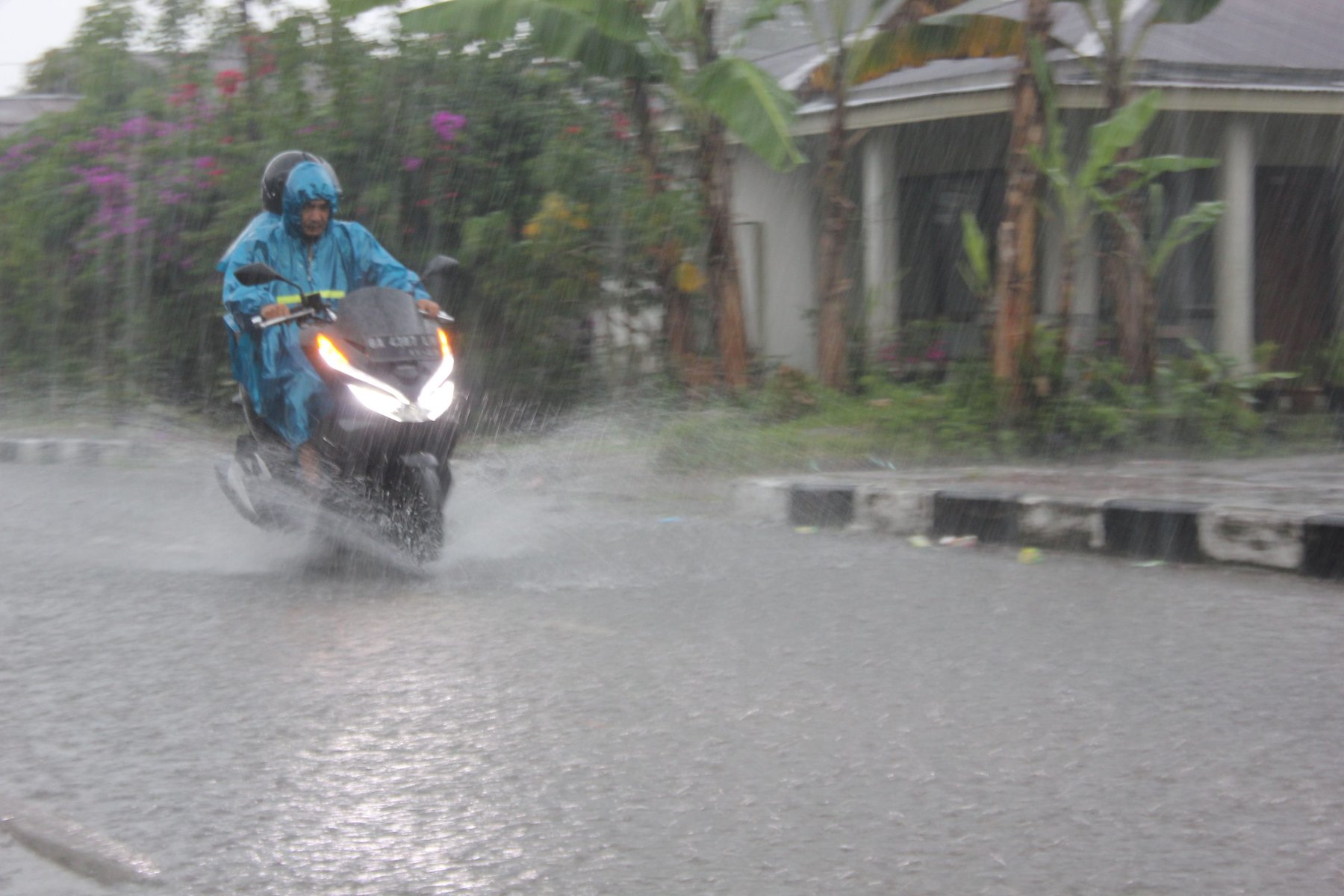 BMKG Peringatkan Hujan Lebat dan Angin Kencang di 8 Wilayah Sumatera Barat, Warga Diimbau Waspada Longsor