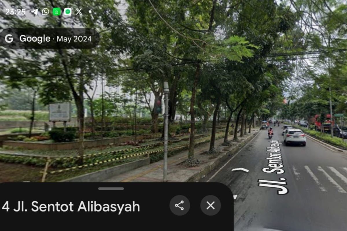 Gubernur Jabar Dedi Mulyadi Buka Suara soal Pohon di Gasibu Hilang: Angsana Kecil Diganti 50 Pohon Asem Jawa