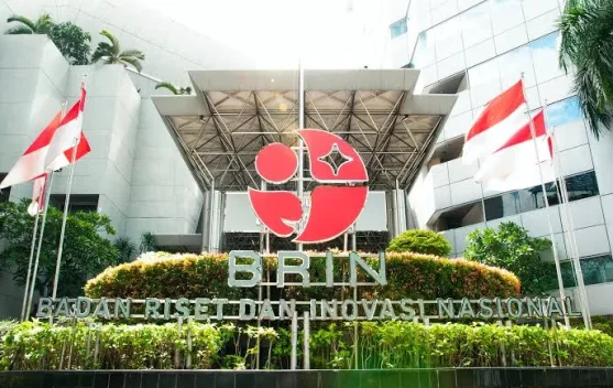 BRIN Temukan Spesies Katak Semak Baru di Lereng Merapi, Sebaran Terbatas dan Butuh Konservasi